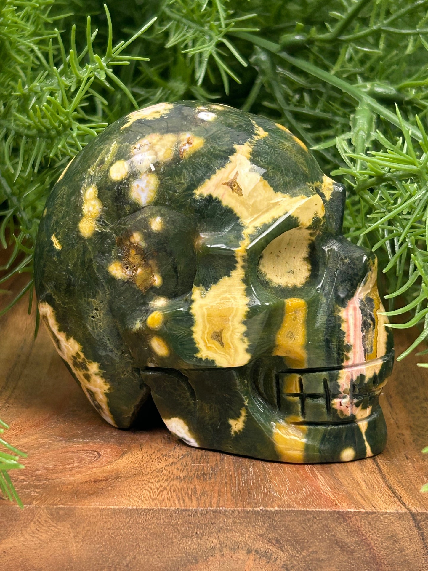 Fancy Orbicular Jasper Skull - High Quality