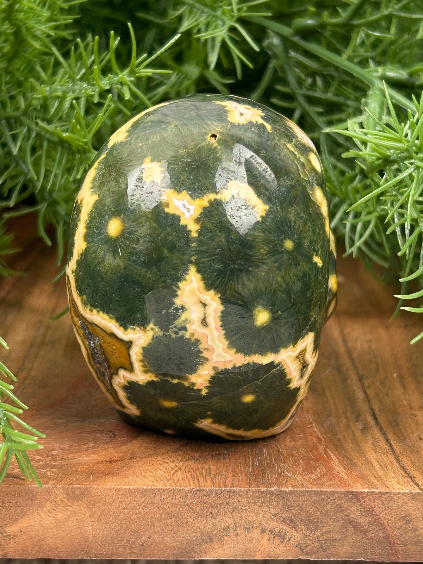 Fancy Orbicular Jasper Skull - High Quality