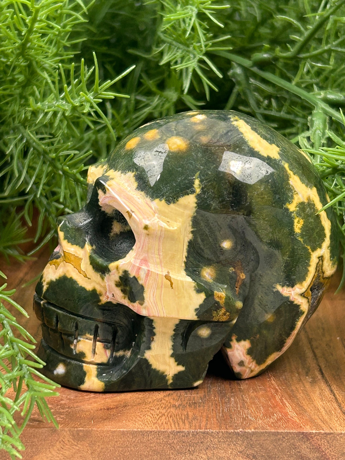 Fancy Orbicular Jasper Skull - High Quality