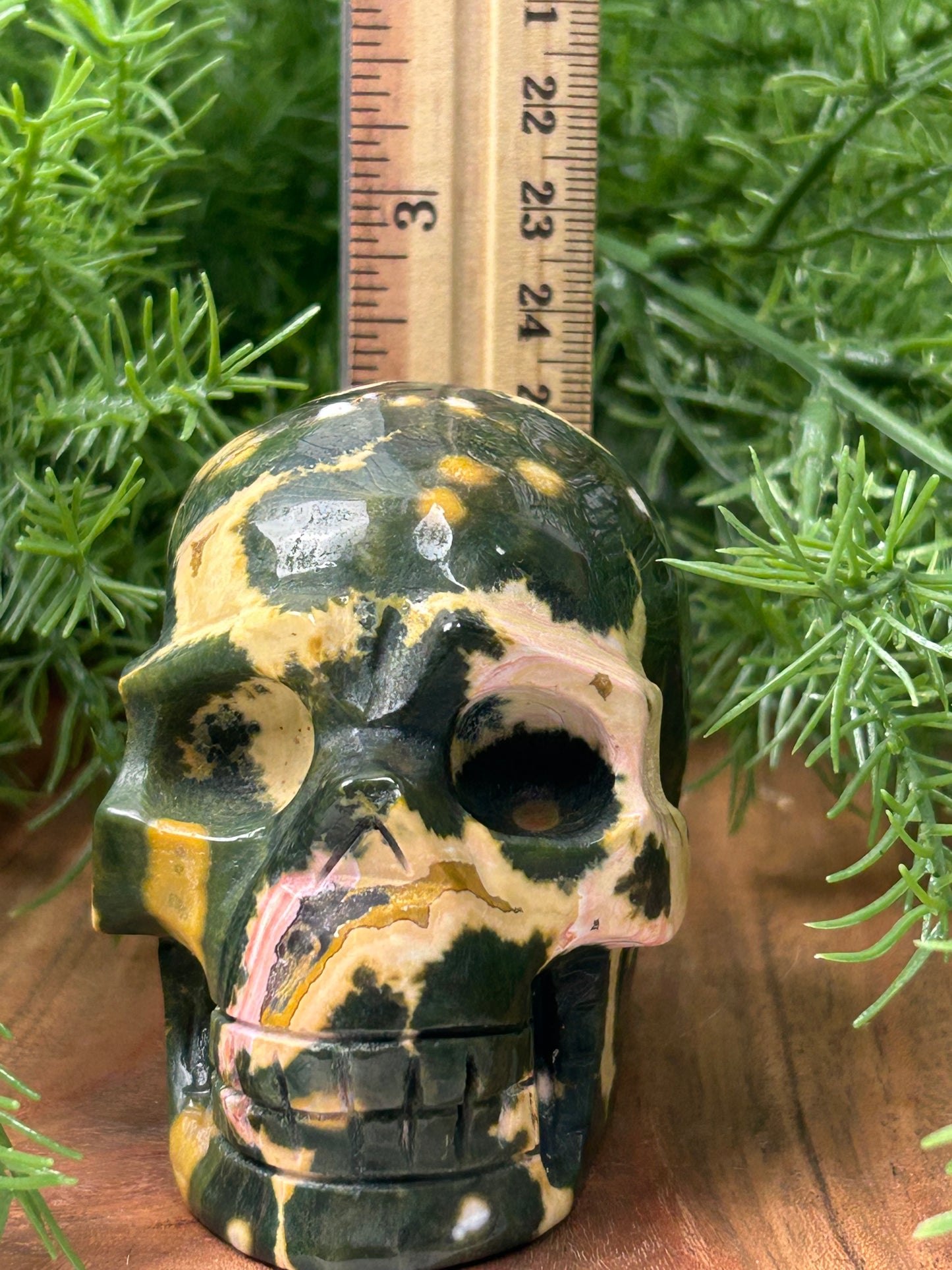 Fancy Orbicular Jasper Skull - High Quality