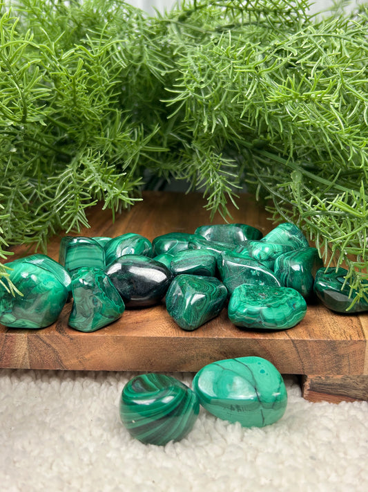 One (1) Malachite Tumble - Intuitively Chosen