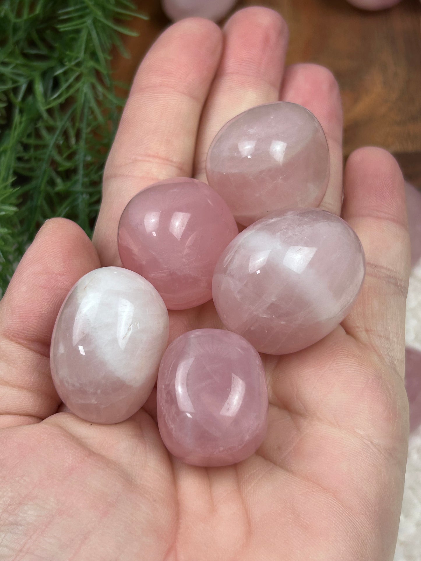 One (1) Rose Quartz Tumble - Intuitively Chosen