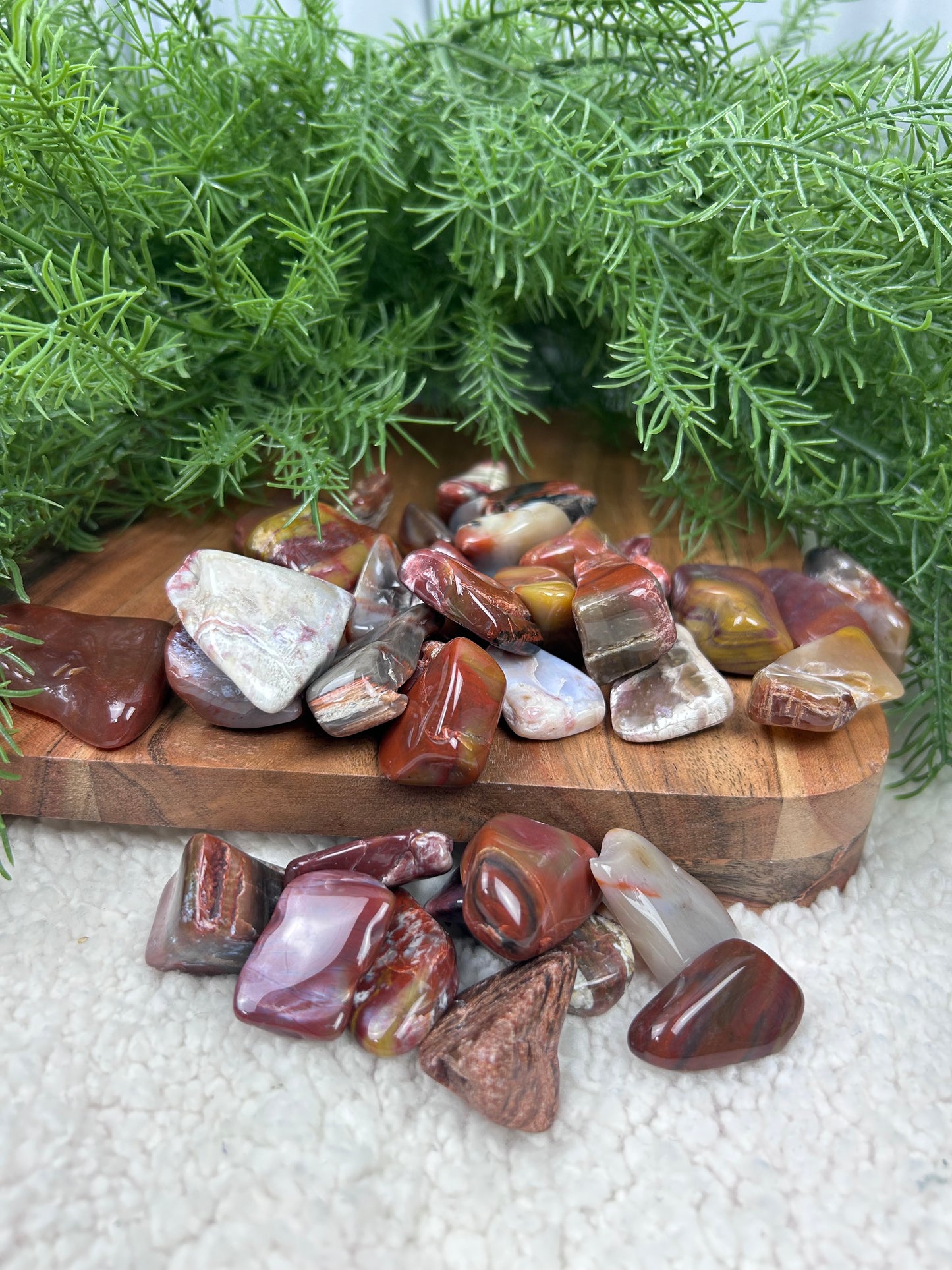 One (1) Petrified Wood Tumble - Intuitively Chosen