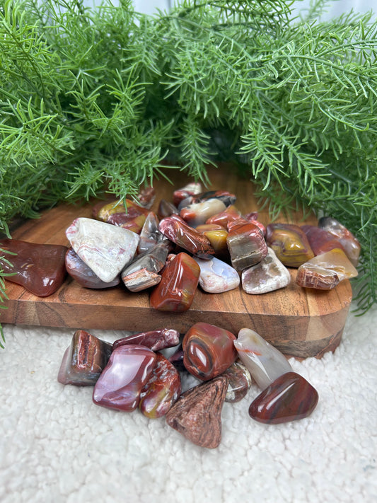 One (1) Petrified Wood Tumble - Intuitively Chosen