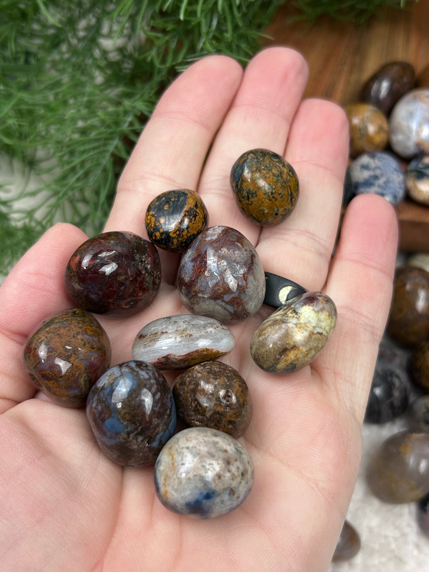 One (1) Pietersite Tumble - Intuitively Chosen