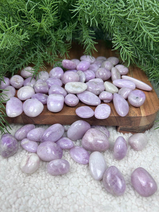 One (1) Kunzite Tumble - Intuitively Chosen