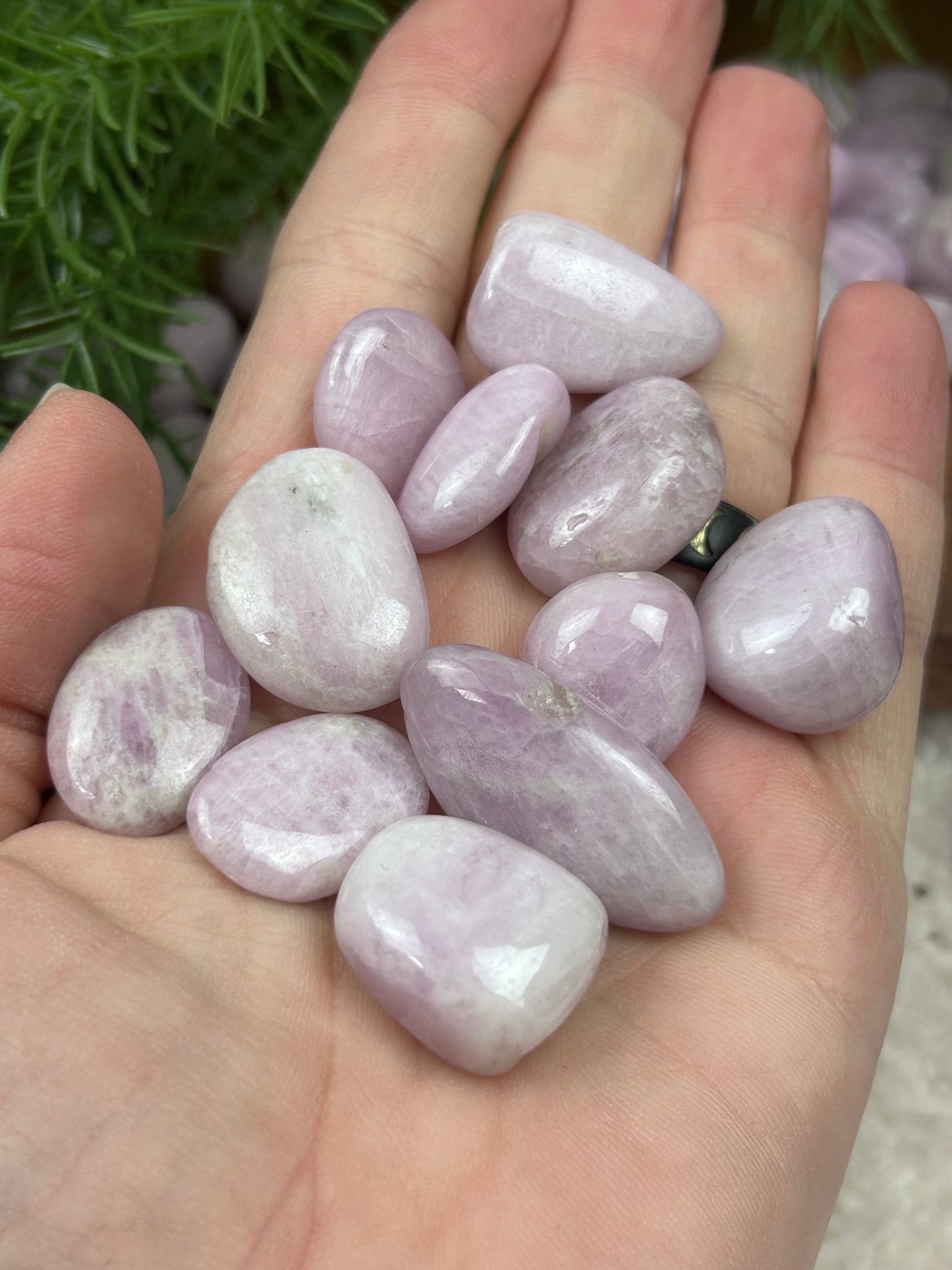 One (1) Kunzite Tumble - Intuitively Chosen