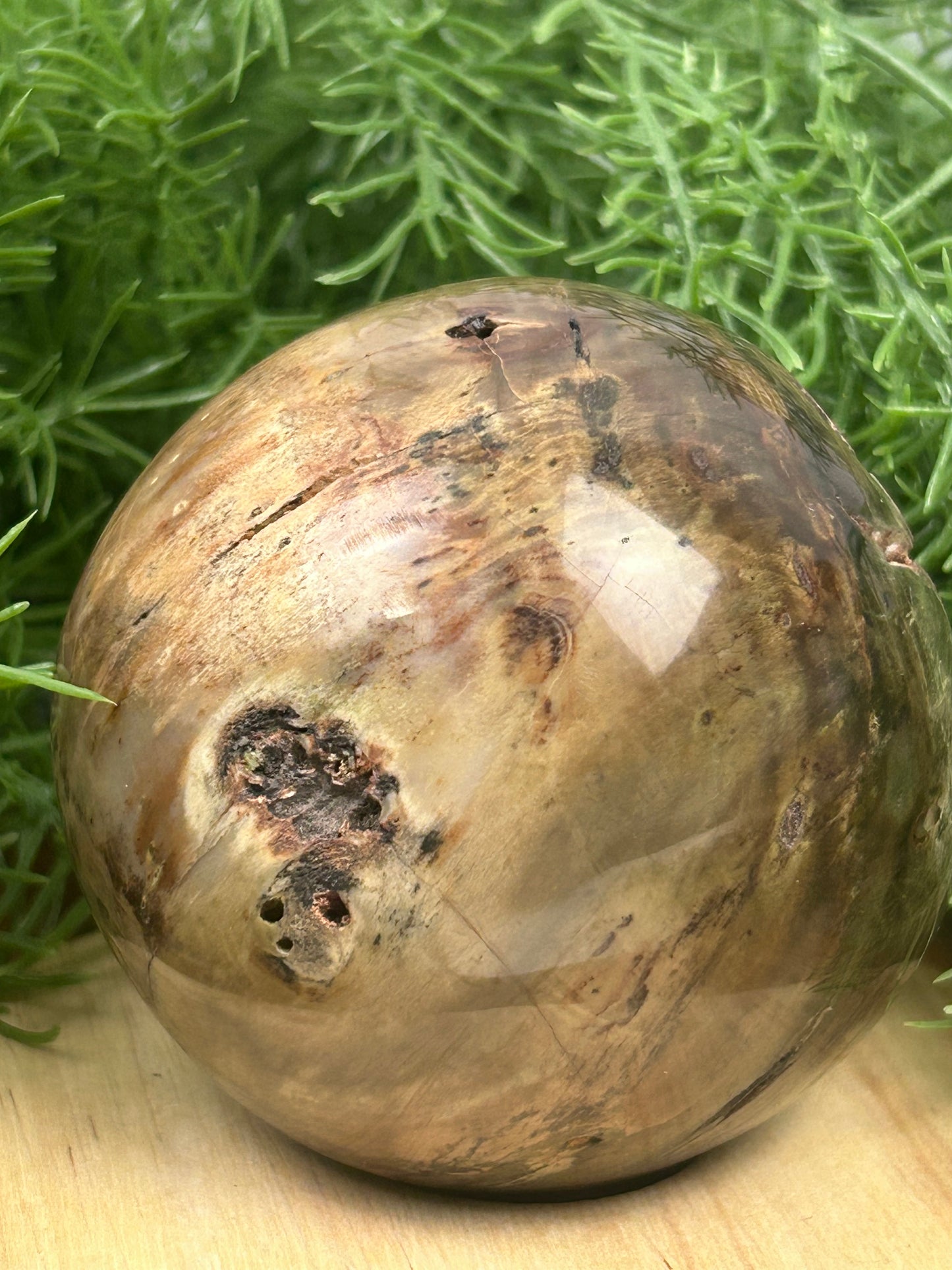 Dadoxylon Petrified Wood Sphere