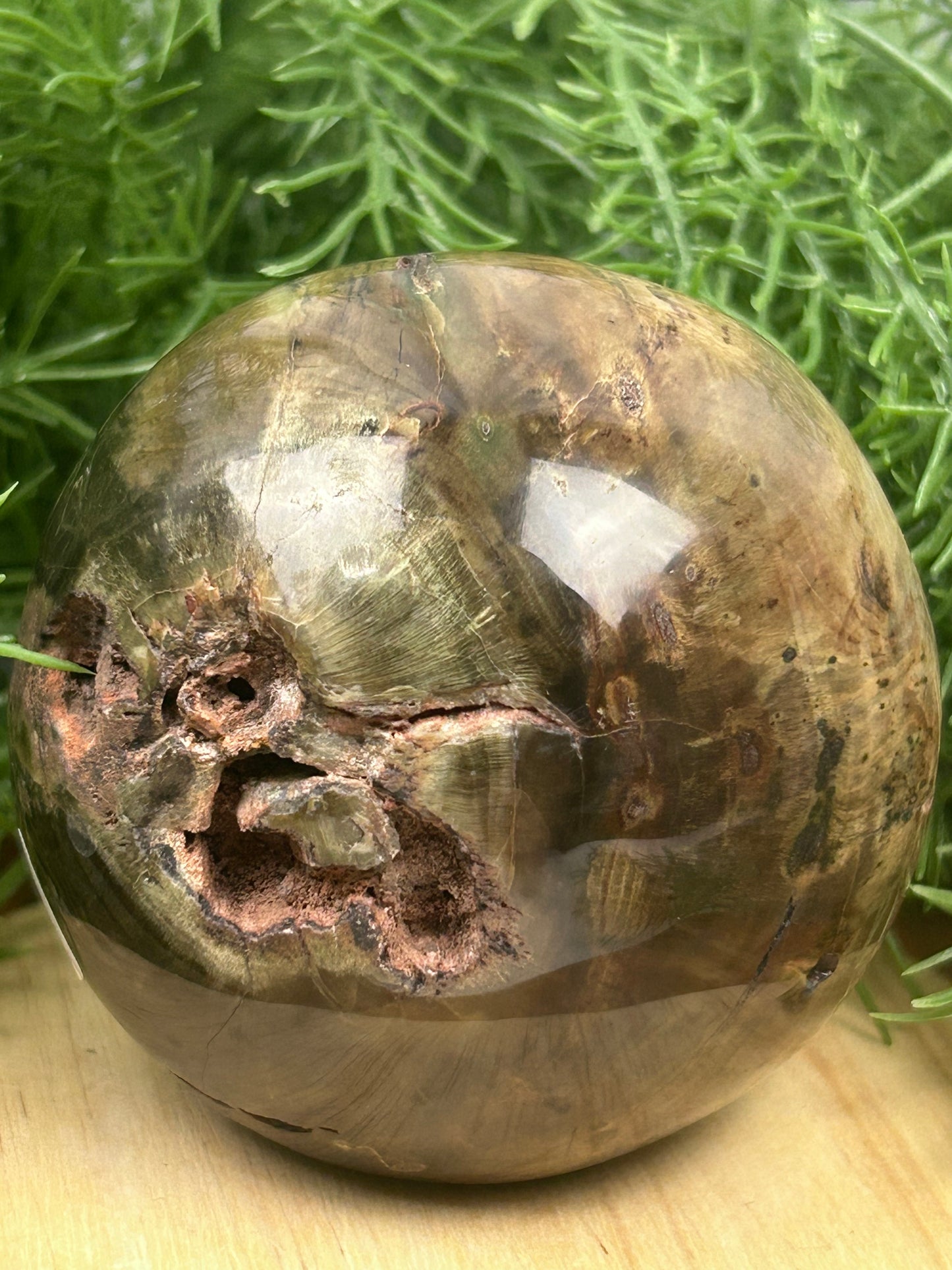 Dadoxylon Petrified Wood Sphere