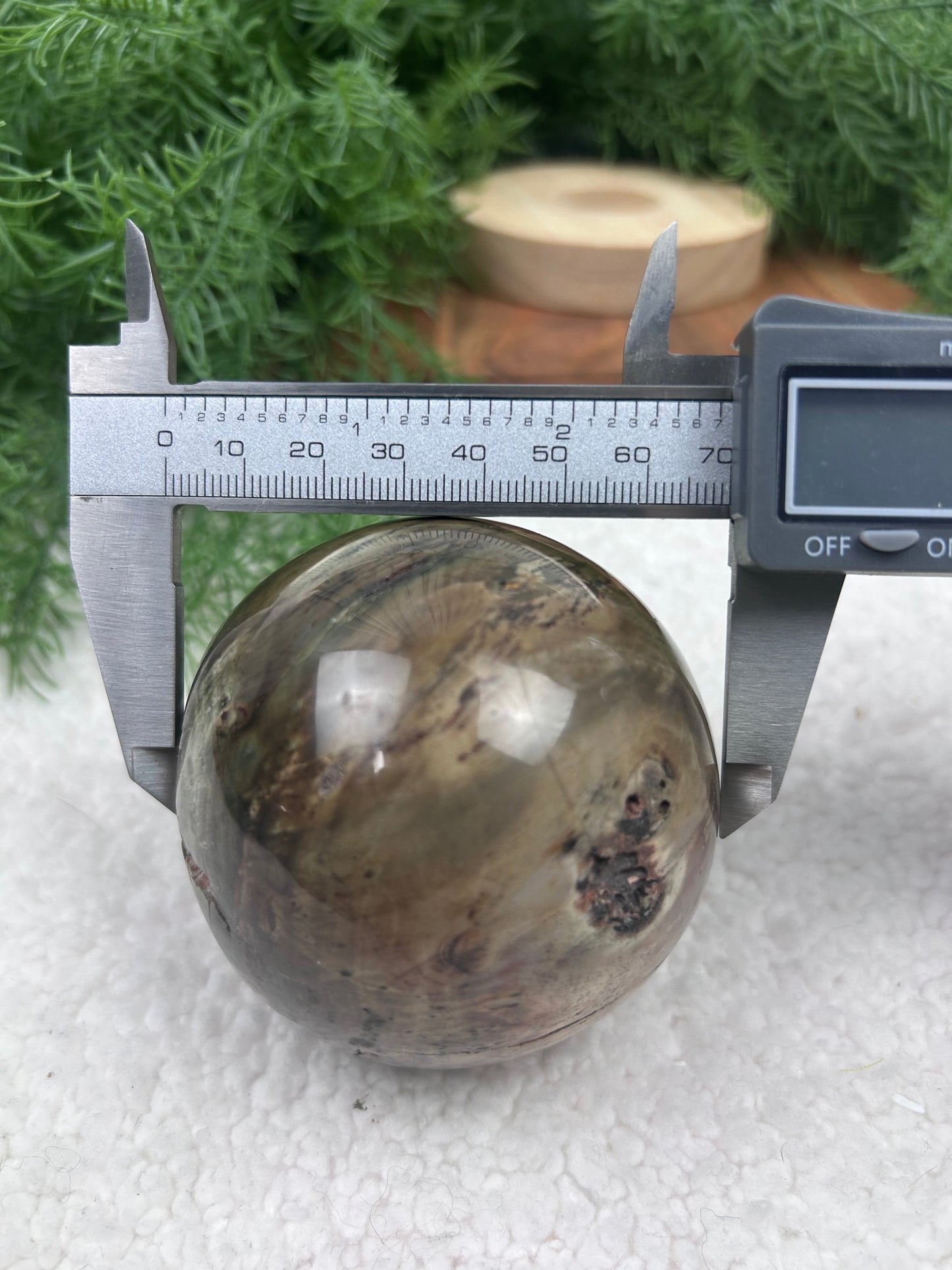 Dadoxylon Petrified Wood Sphere
