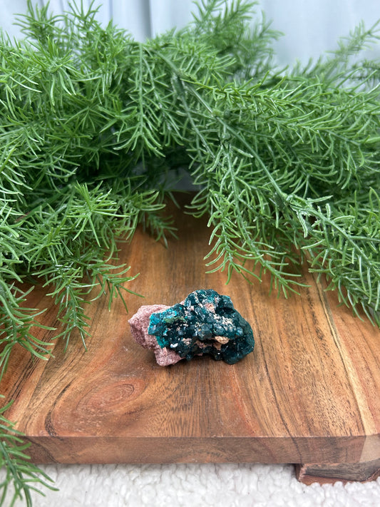 Dioptase Specimen