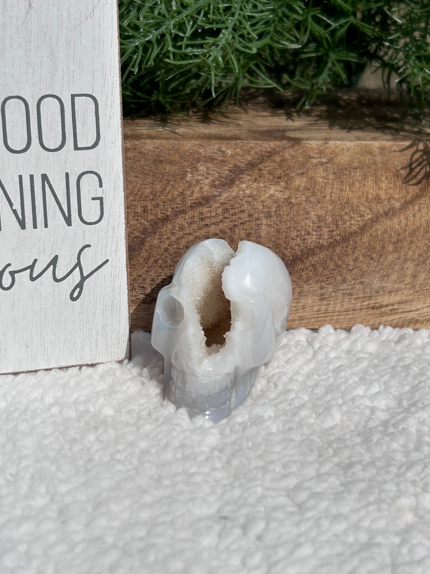 Druzy White Agate Skull
