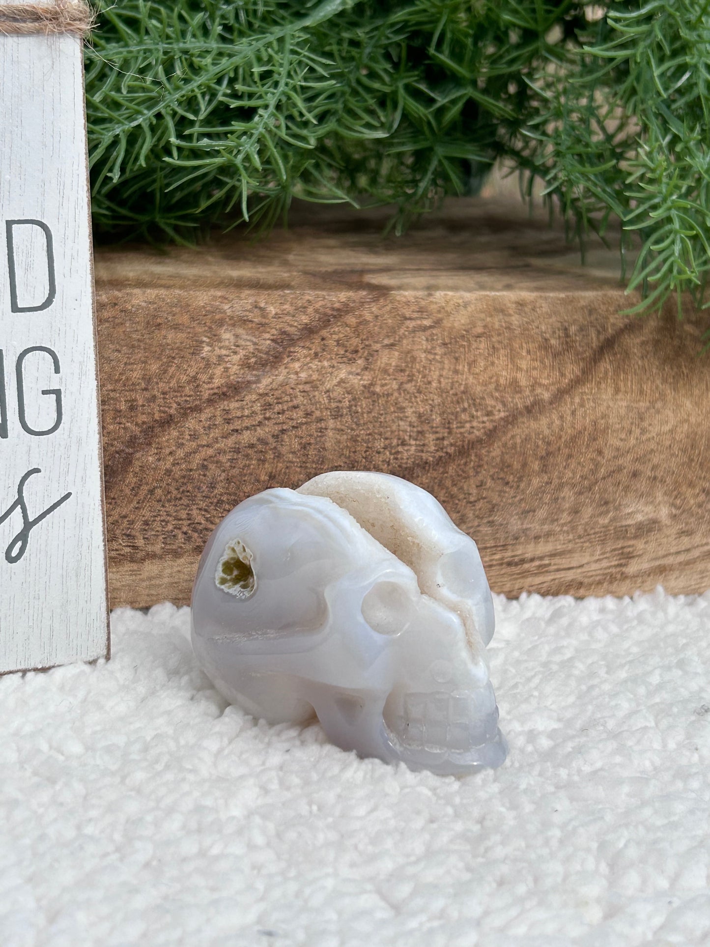 Druzy White Agate Skull