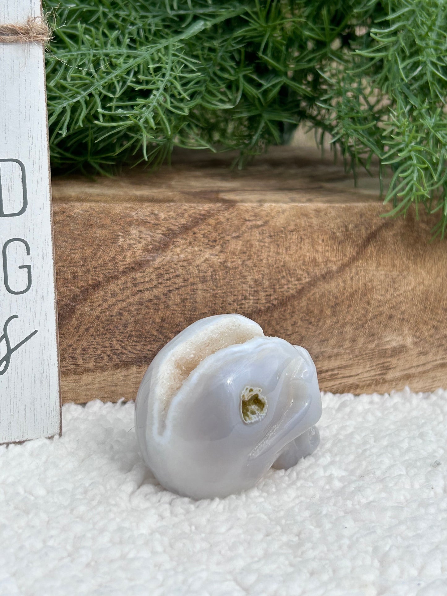 Druzy White Agate Skull