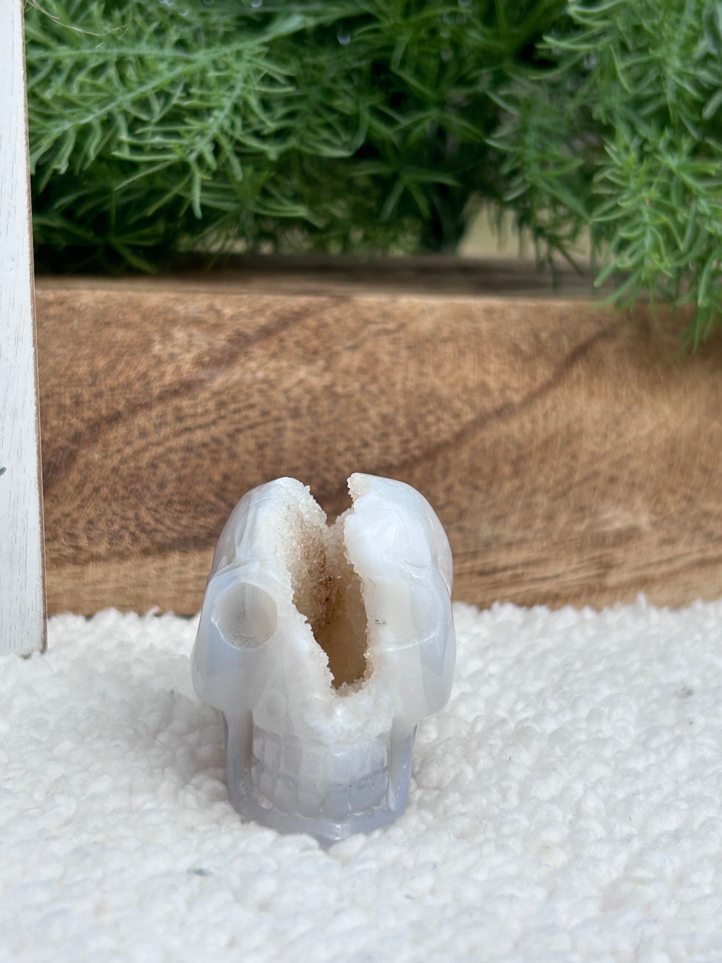 Druzy White Agate Skull