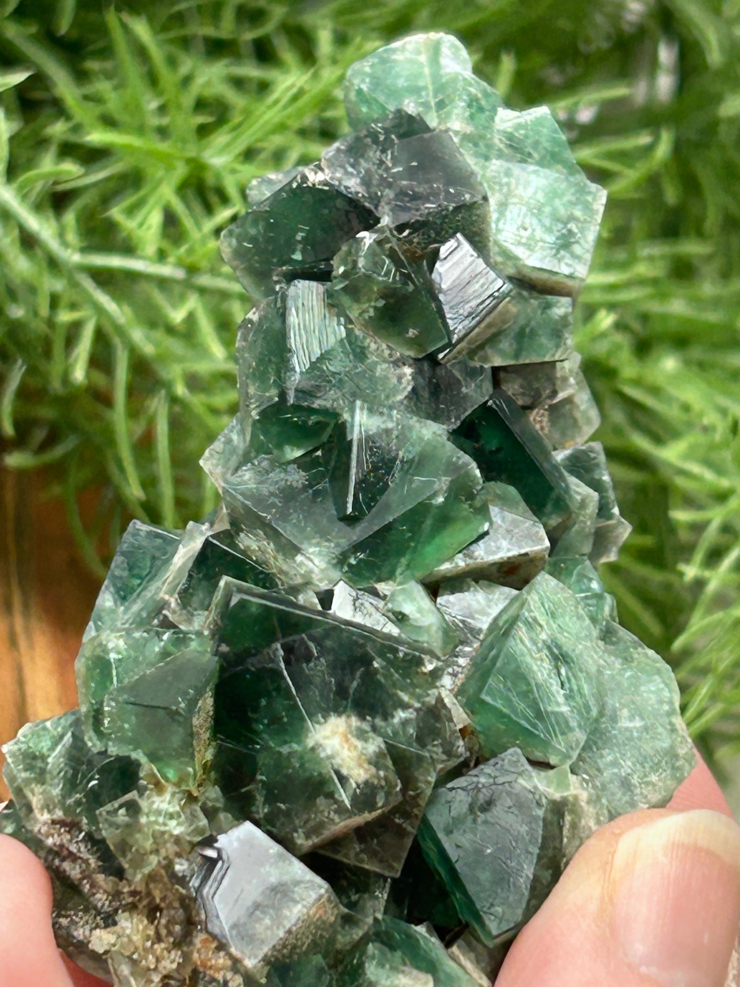 Pyjama Pocket Cubic Fluorite