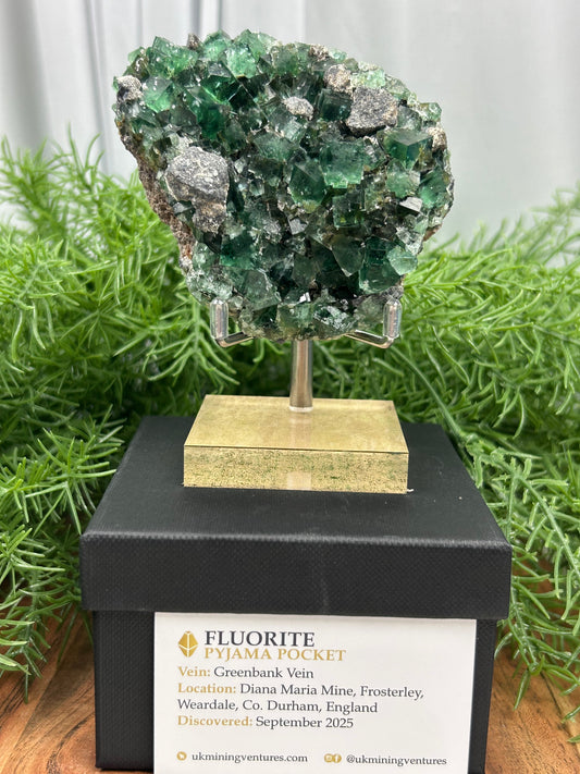 Pyjama Pocket Cubic Fluorite
