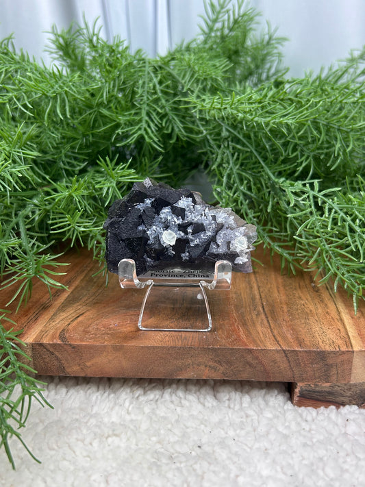 Phantom Fluorite