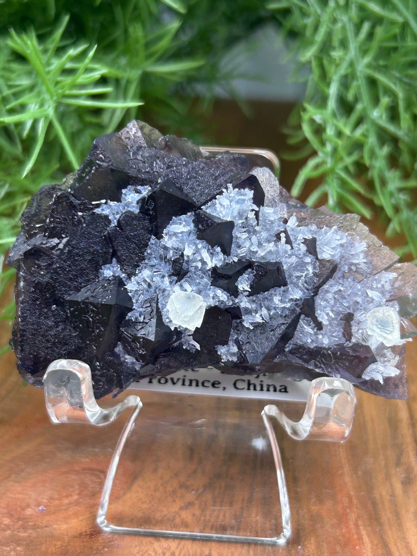 Phantom Fluorite