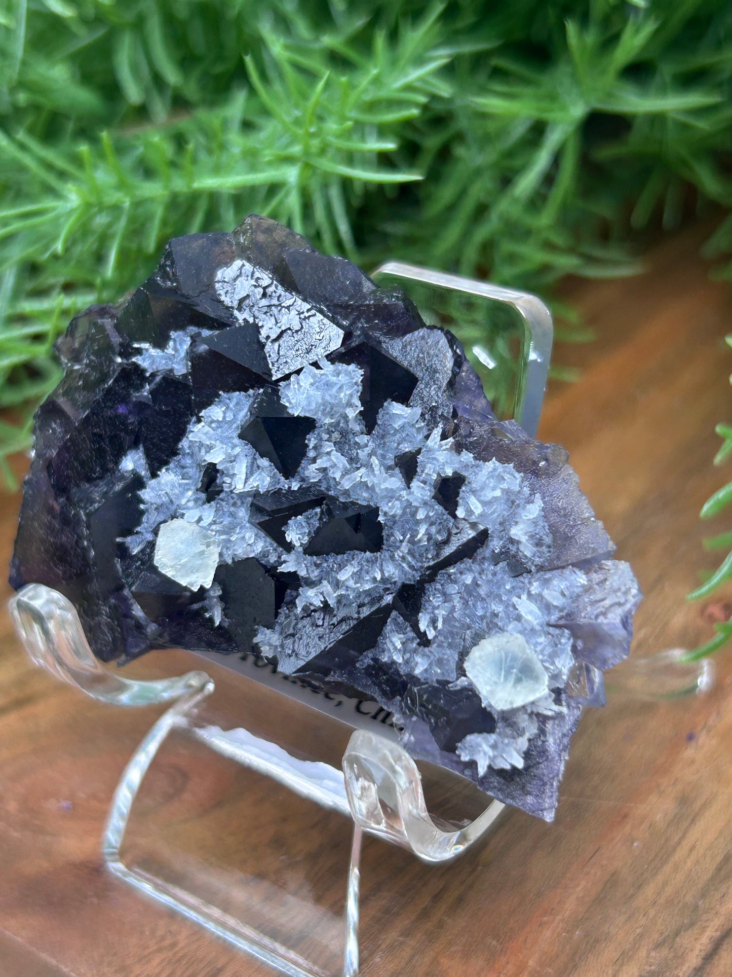 Phantom Fluorite