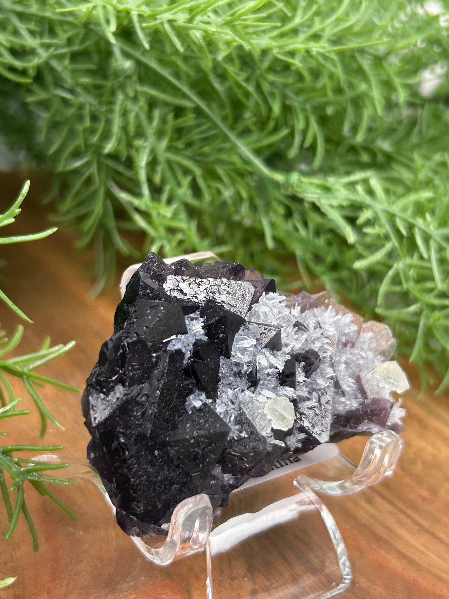 Phantom Fluorite