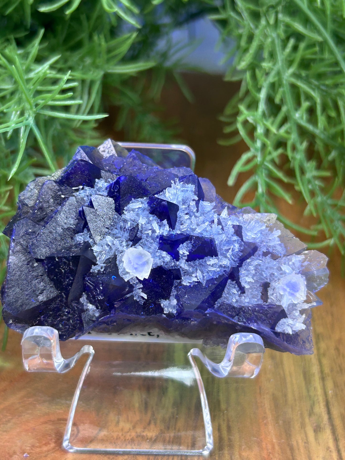 Phantom Fluorite