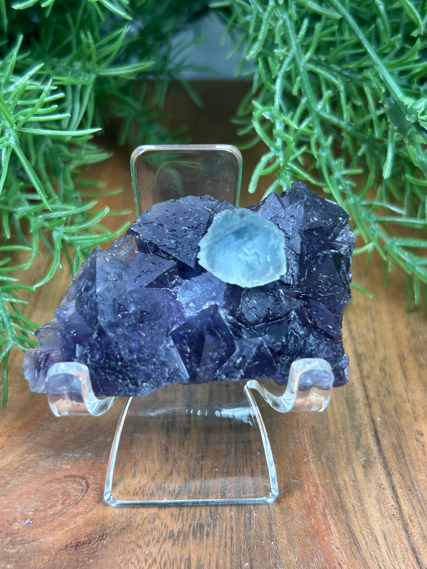 Phantom Fluorite