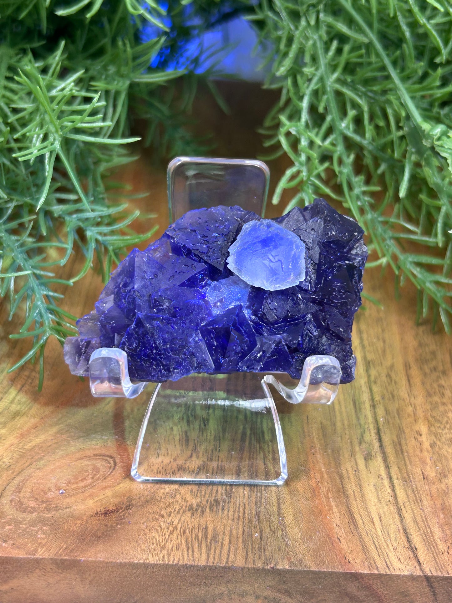 Phantom Fluorite