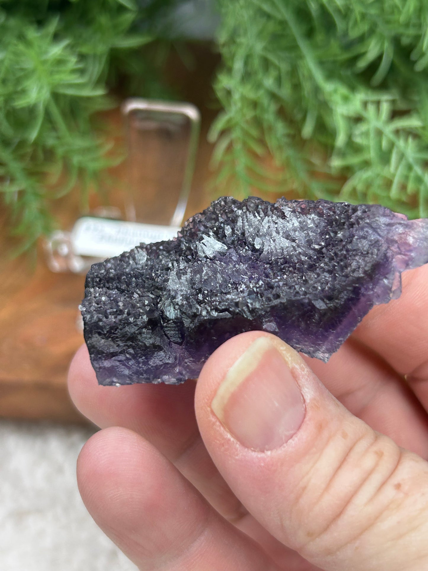 Phantom Fluorite