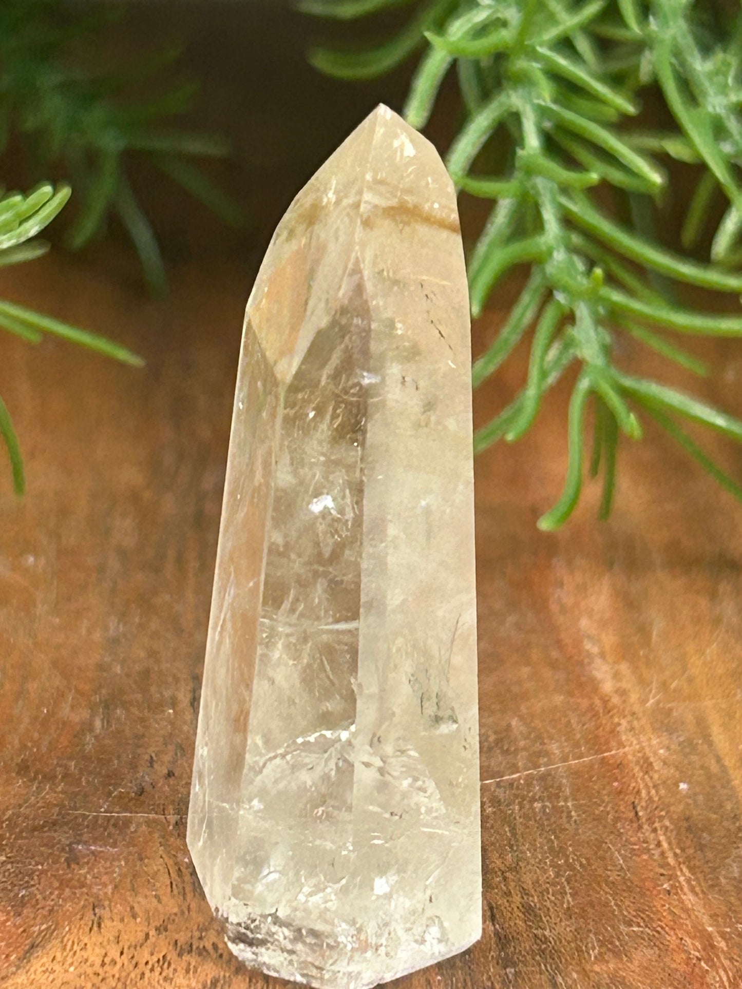 Powellite Point