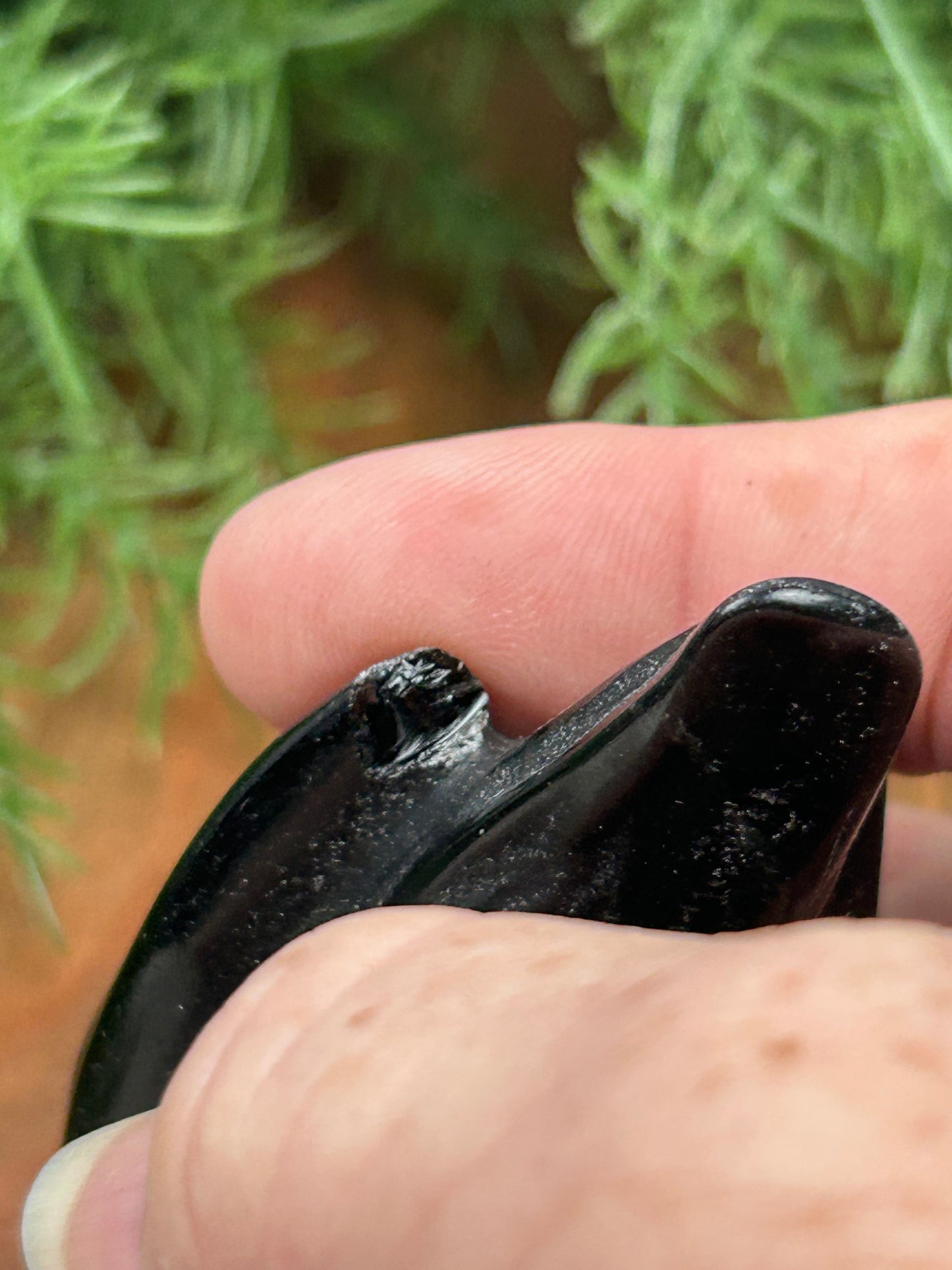 Obsidian Skull with Raven