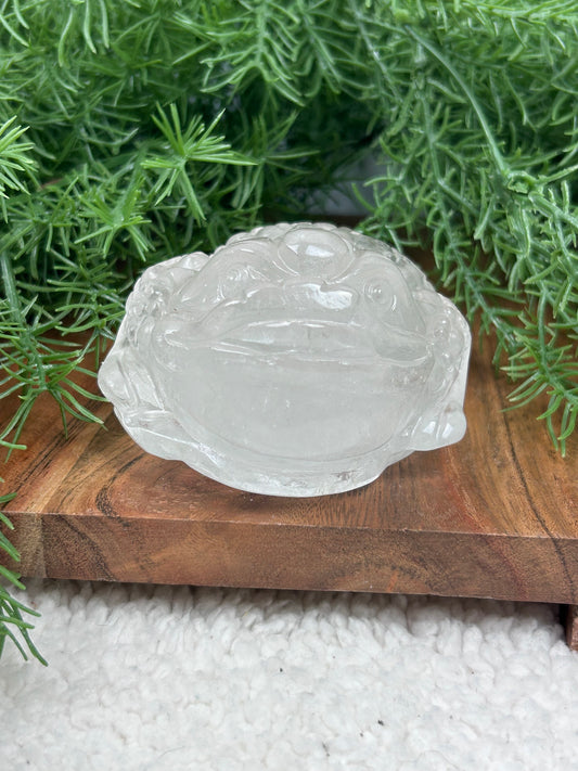 Garden Quartz Money Toad