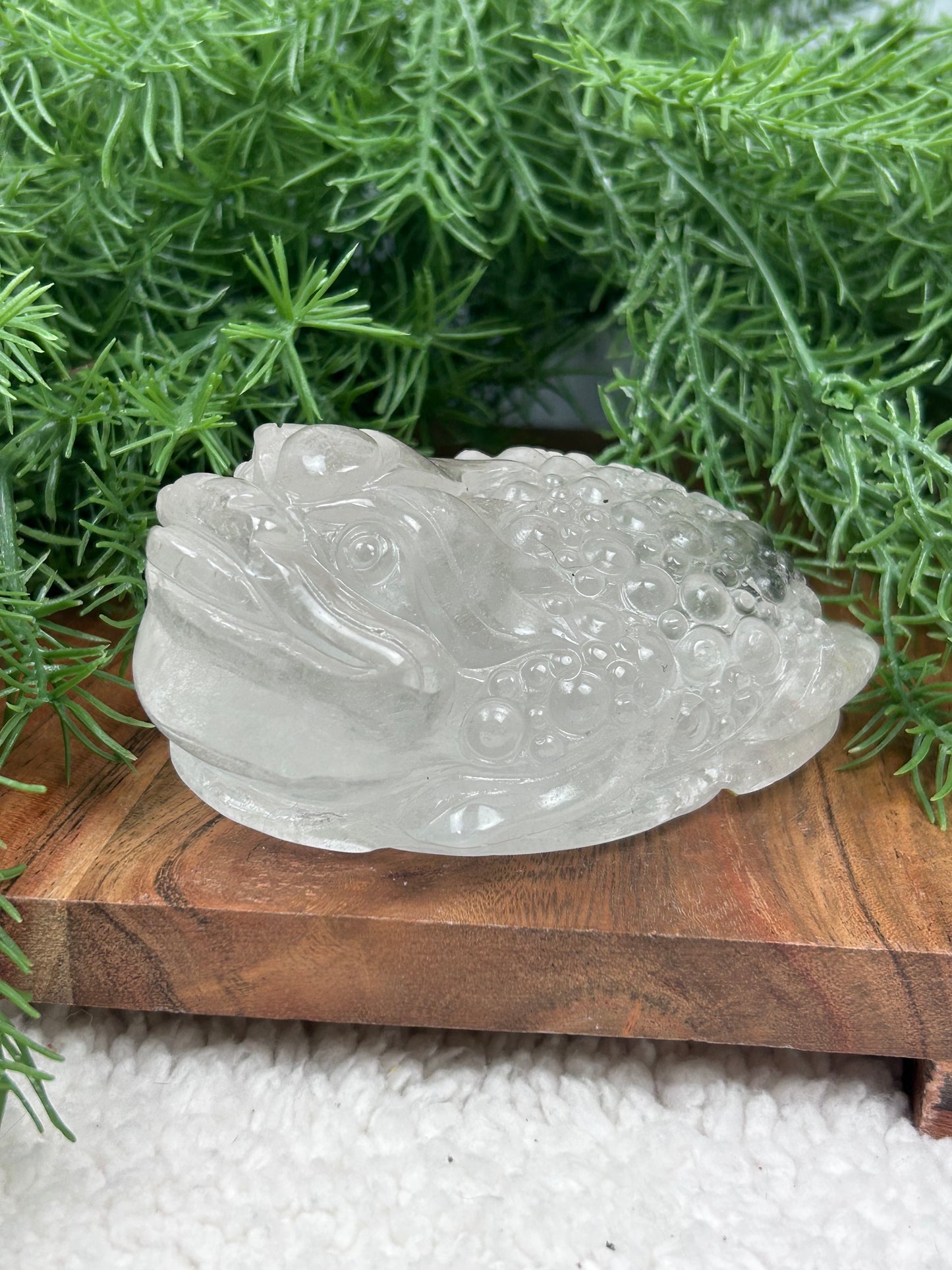 Garden Quartz Money Toad