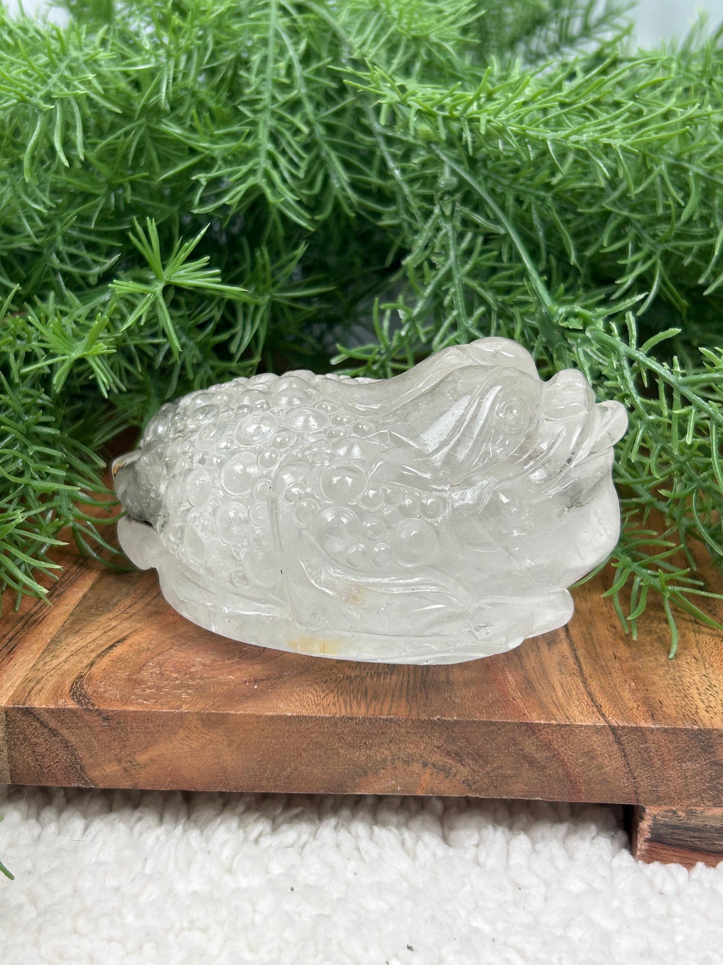 Garden Quartz Money Toad