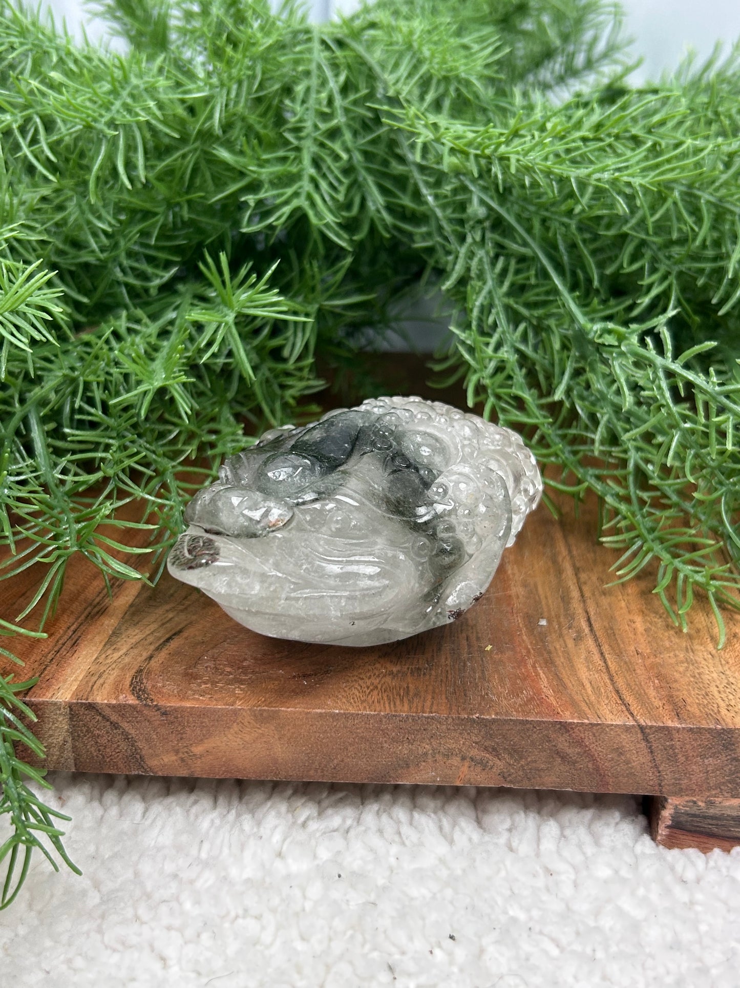 Garden Quartz Money Toad