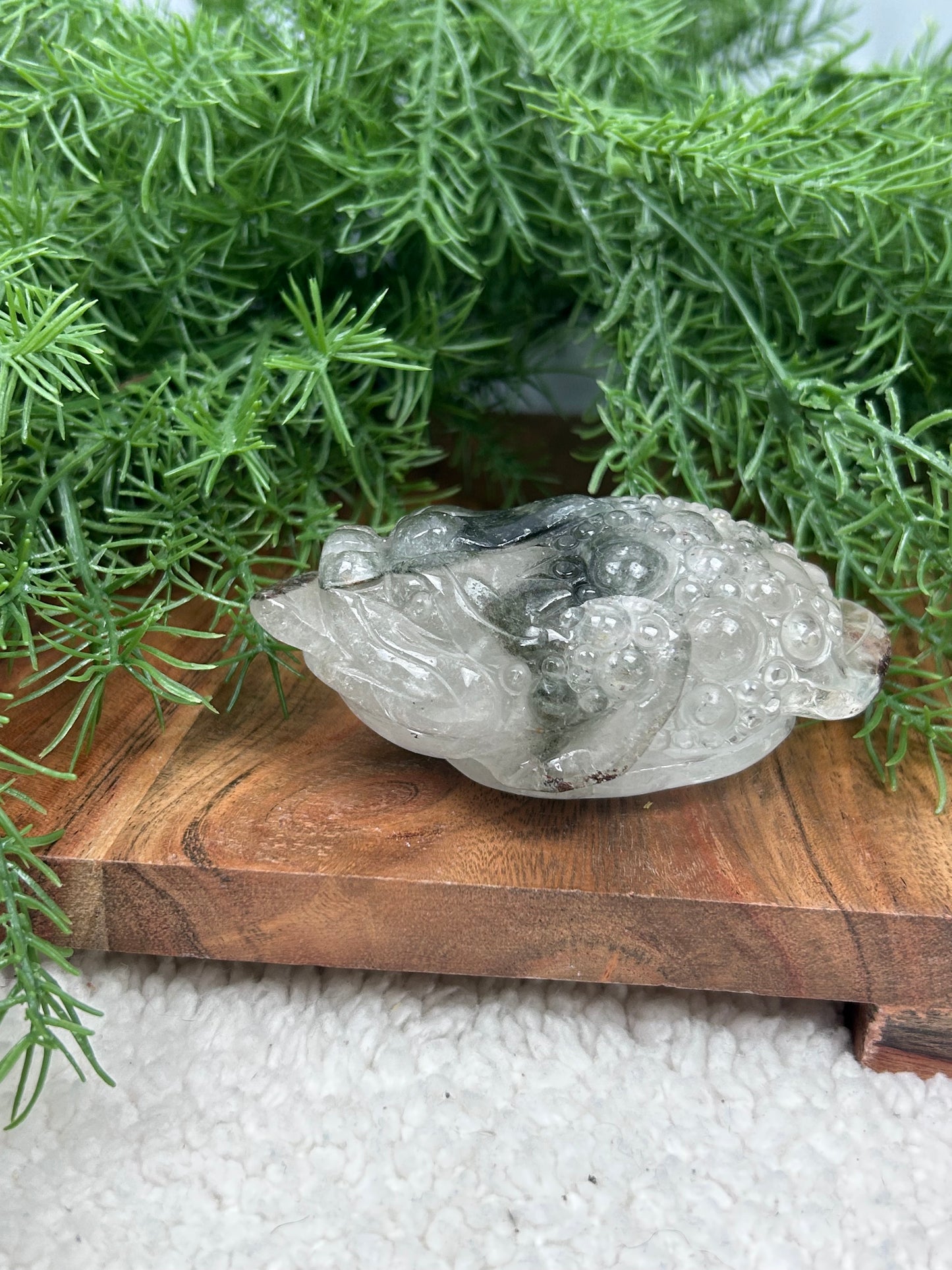 Garden Quartz Money Toad