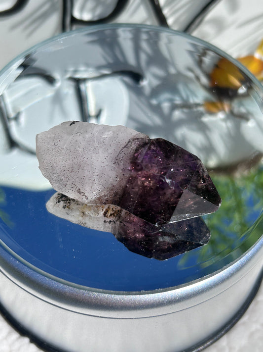 Super 7 specimen #4