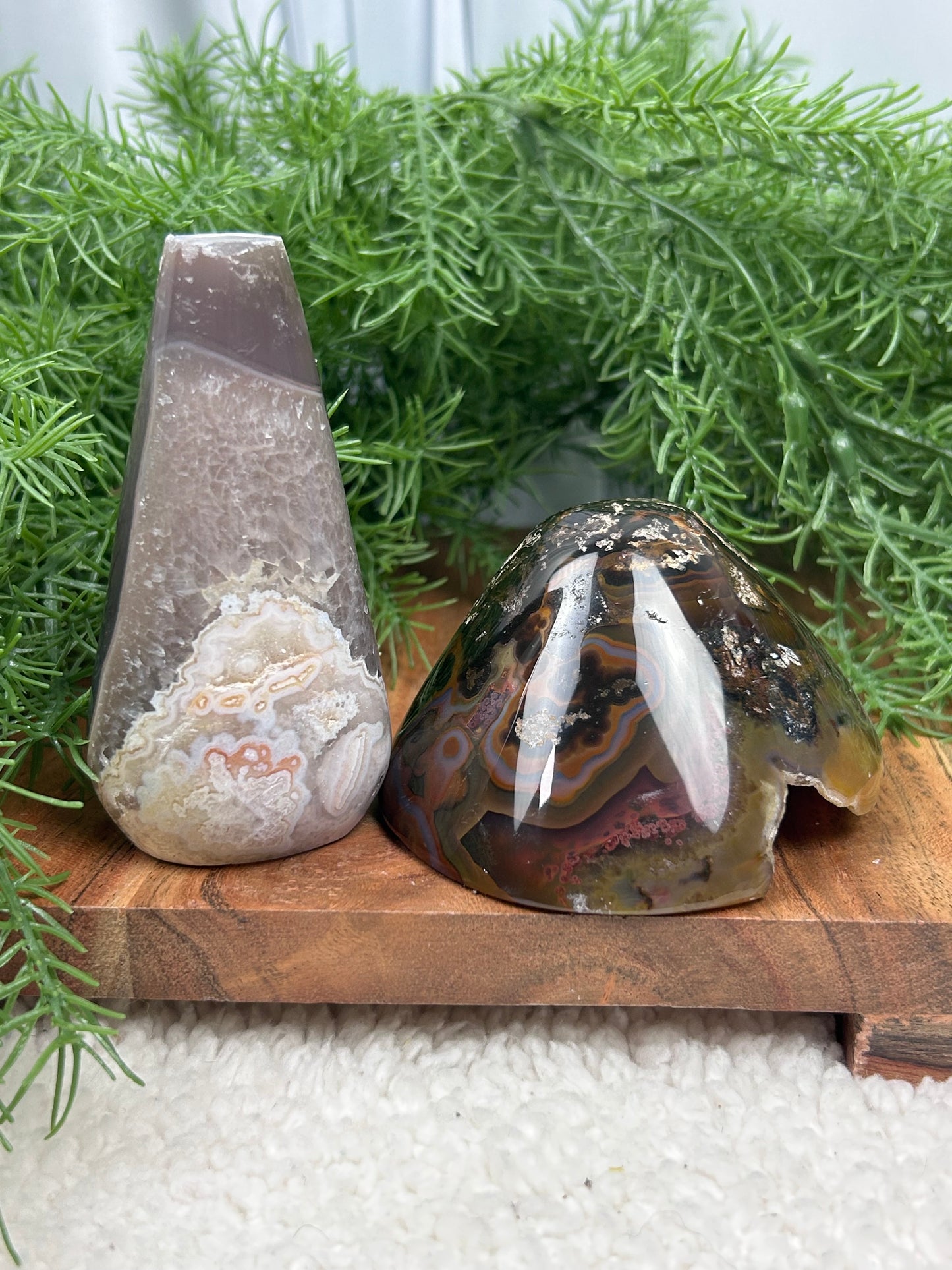 Agate Mushroom