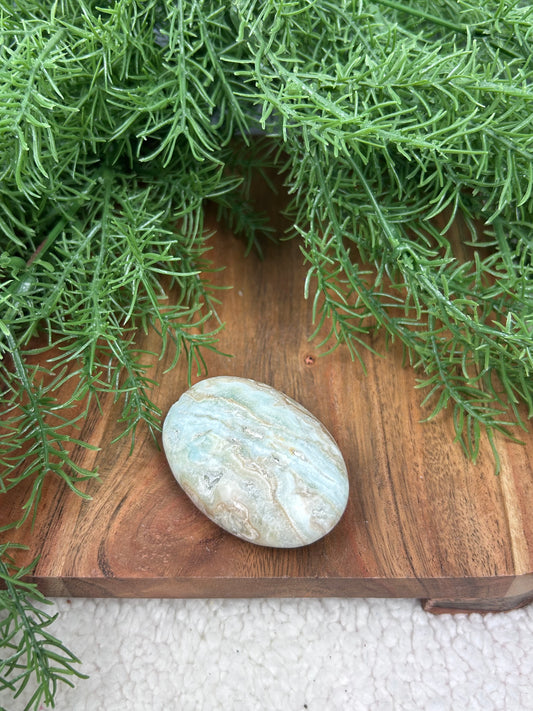Caribbean Calcite Palm