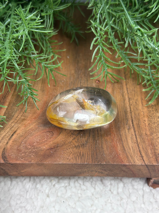 Golden Healer Palm Stone