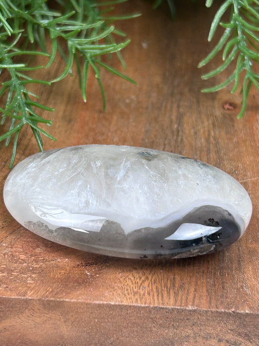 Agate Palm Stone