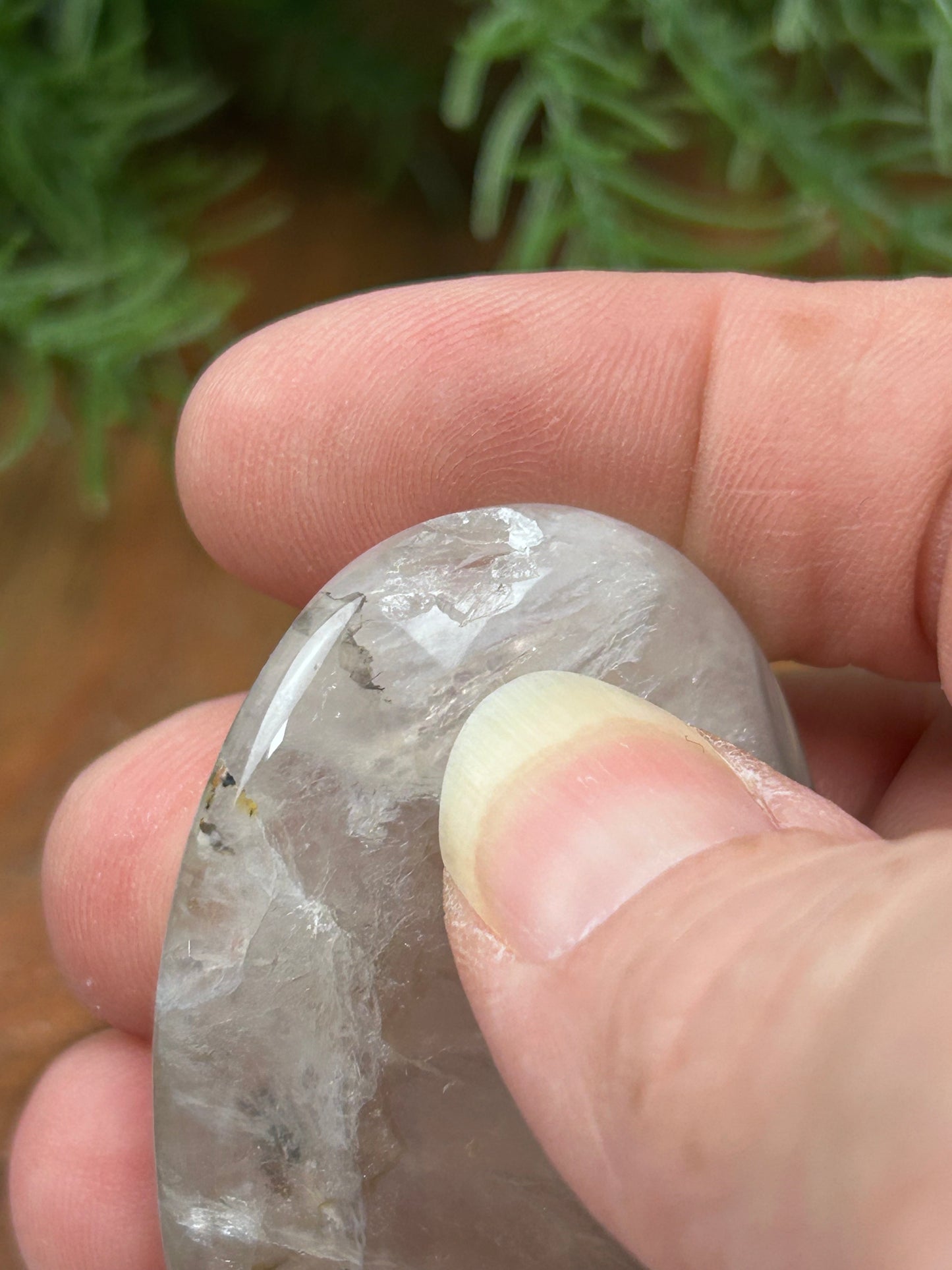 Agate Palm Stone