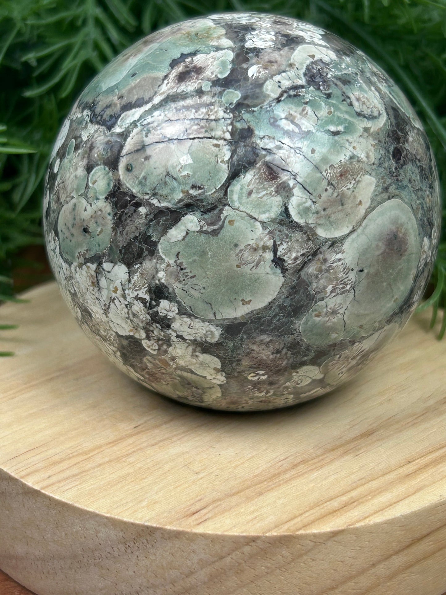 Green Flower Rhyolite