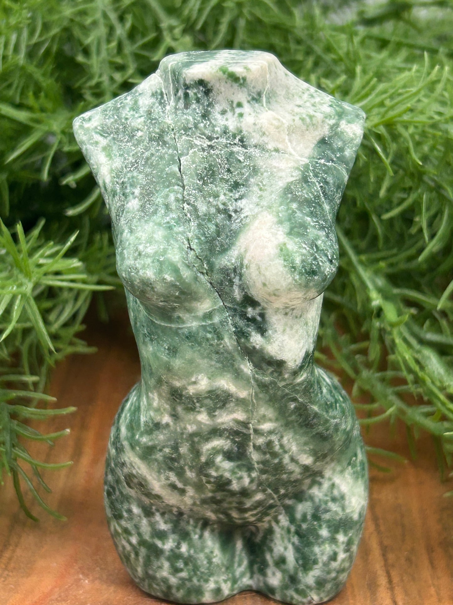 Tree Agate Torso
