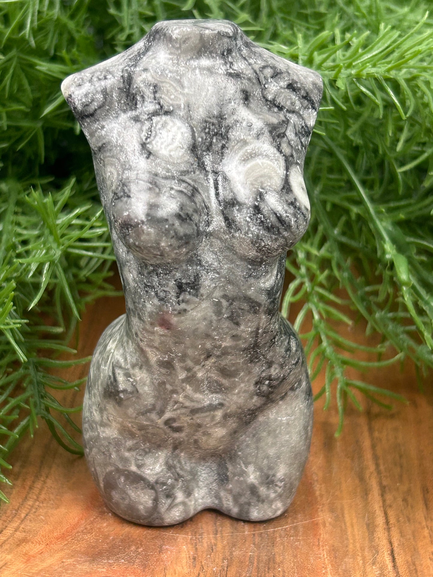 Fossil Stone Torso
