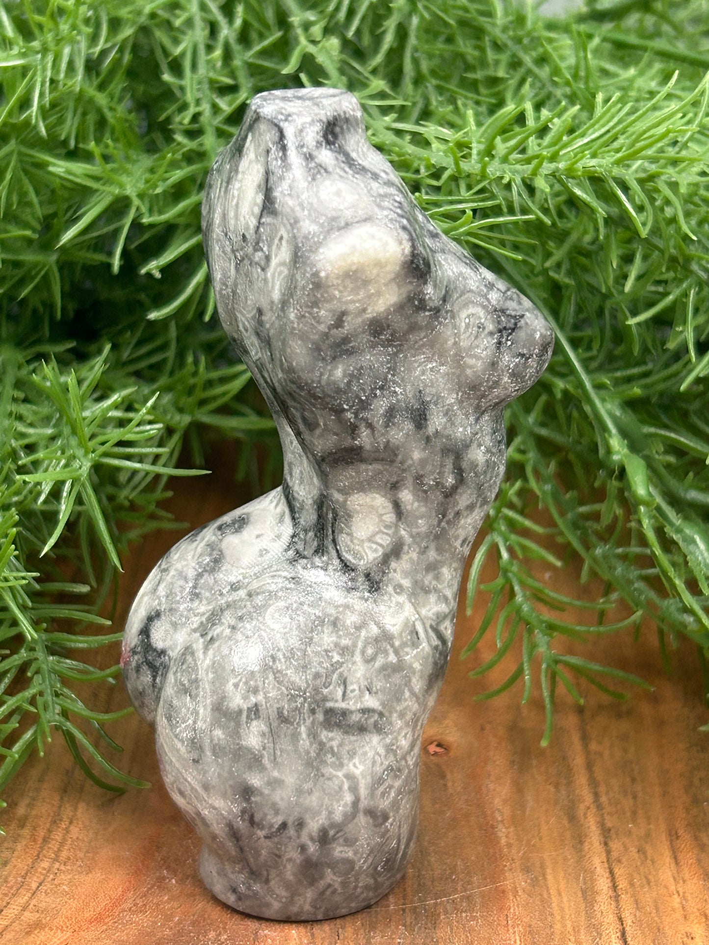 Fossil Stone Torso