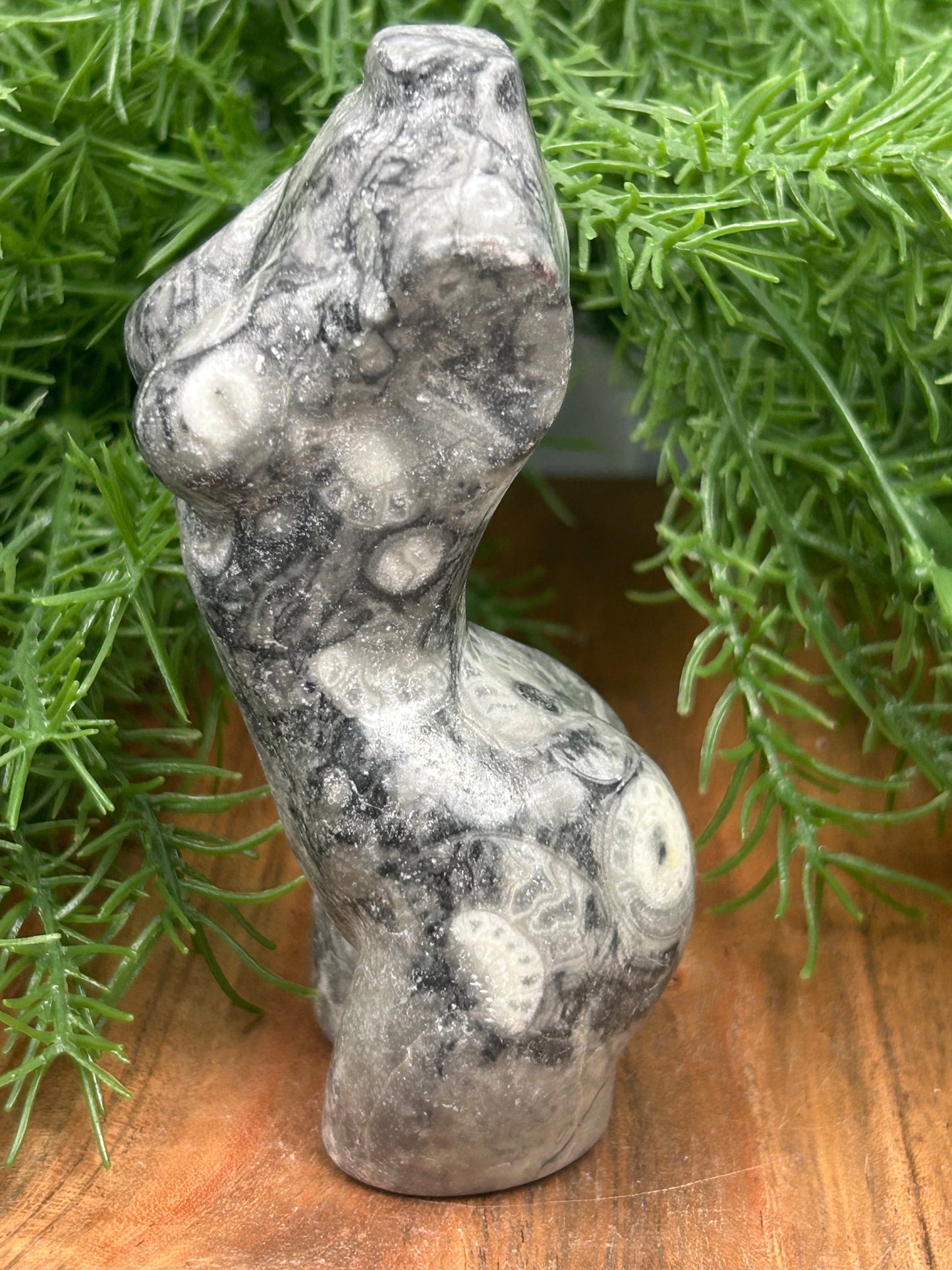 Fossil Stone Torso