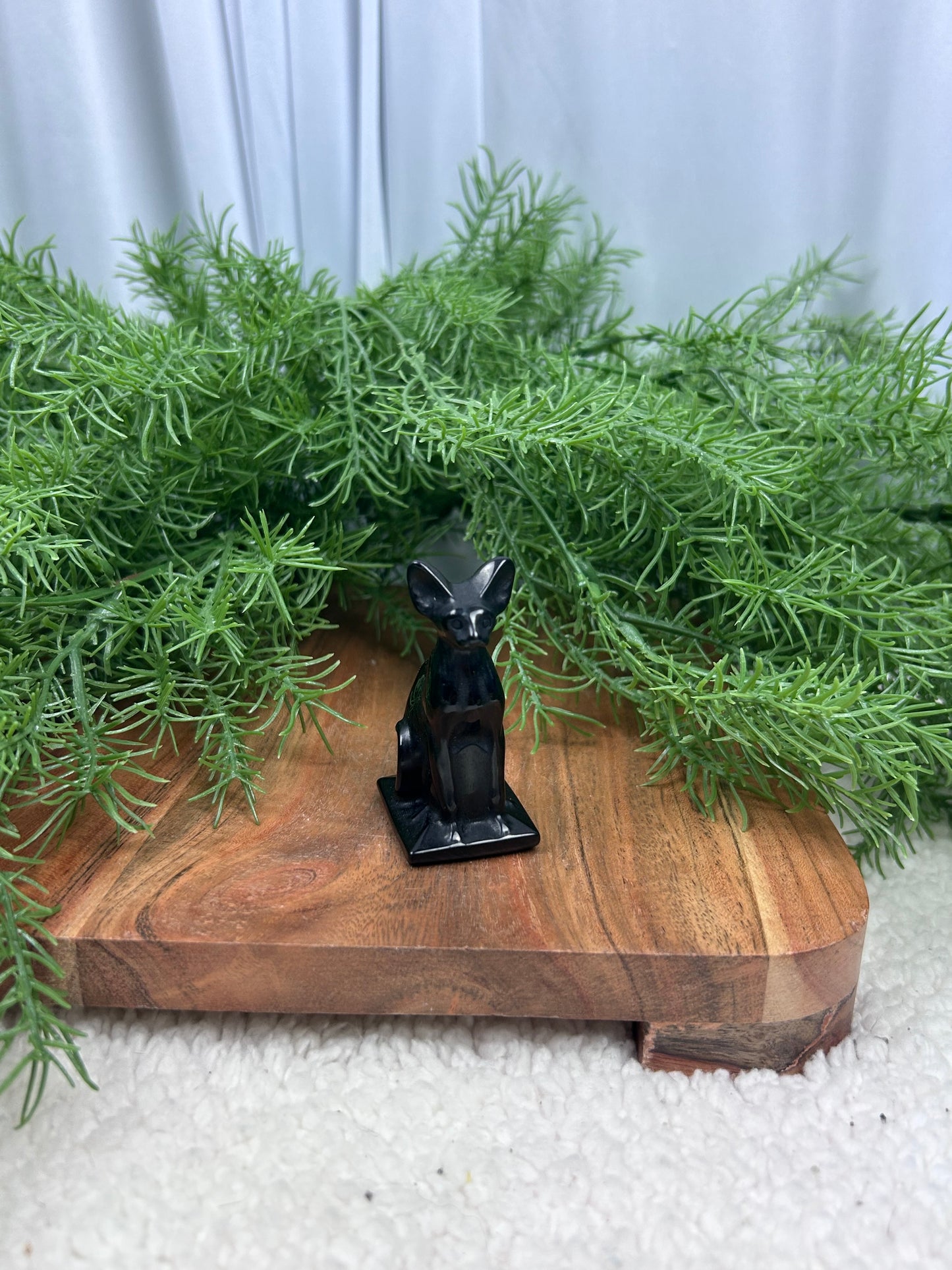 Obsidian Cat