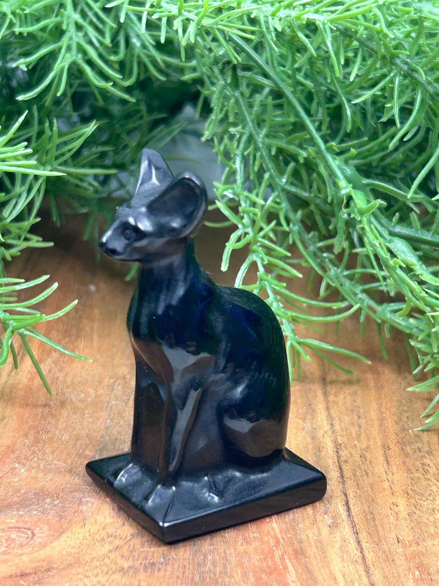 Obsidian Cat