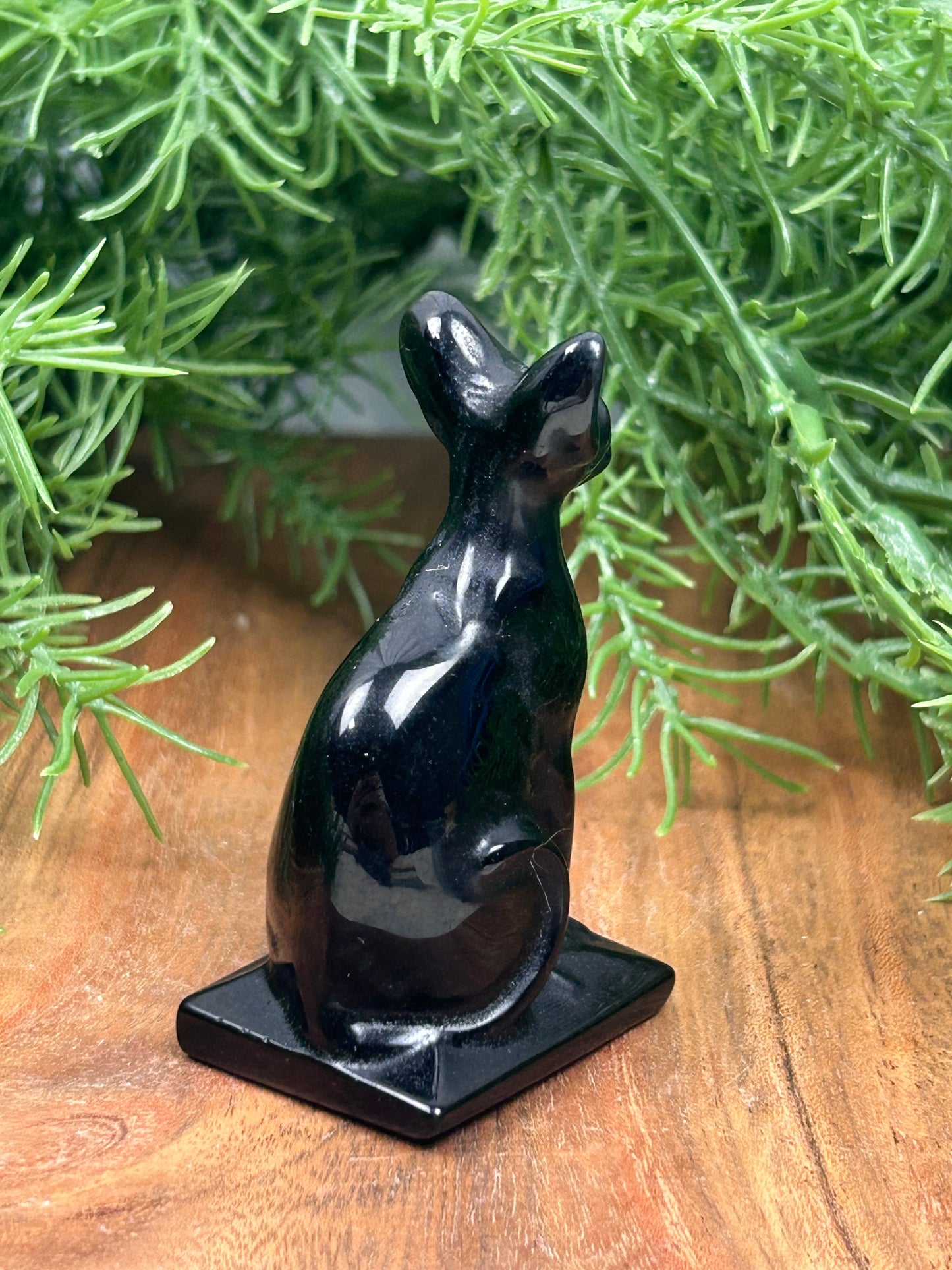 Obsidian Cat